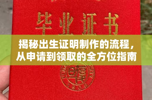 阜城揭秘出生证明制作的流程，从申请到领取的全方位指南