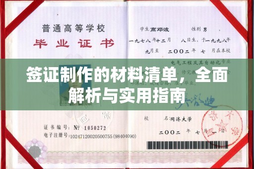 阜城签证制作的材料清单，全面解析与实用指南