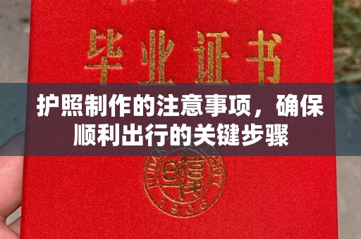 阜城护照制作的注意事项，确保顺利出行的关键步骤
