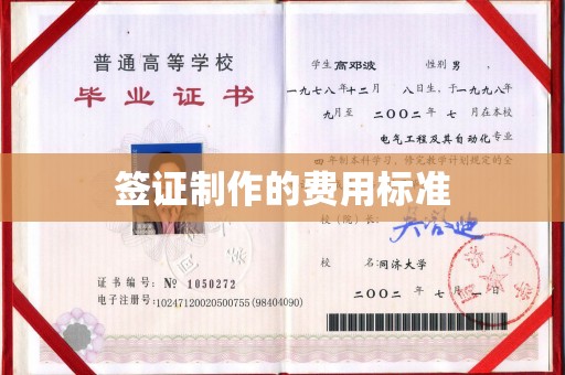 阜城签证制作的费用标准