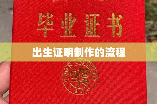 阜城出生证明制作的流程