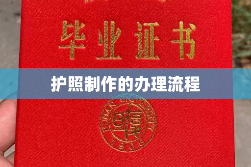 阜城护照制作的办理流程