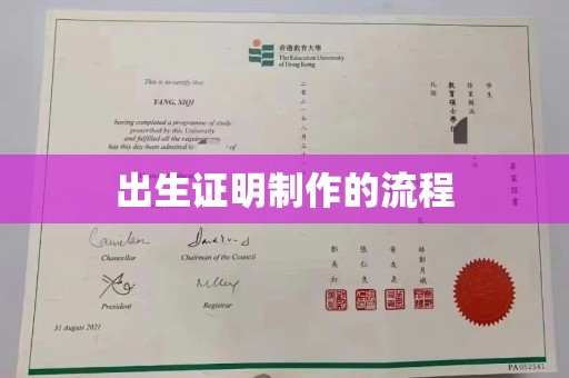 阜城出生证明制作的流程