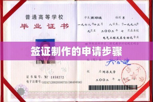 阜城签证制作的申请步骤