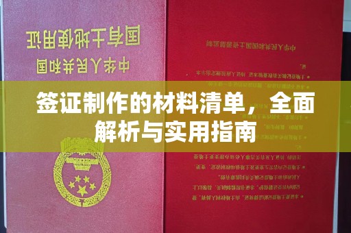 阜城签证制作的材料清单，全面解析与实用指南