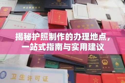 阜城揭秘护照制作的办理地点，一站式指南与实用建议