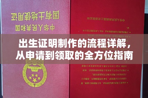 阜城出生证明制作的流程详解，从申请到领取的全方位指南
