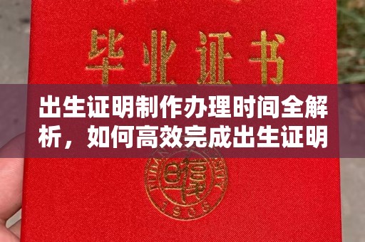 阜城出生证明制作办理时间全解析，如何高效完成出生证明申请？