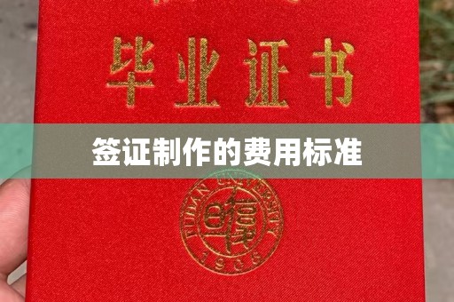 阜城签证制作的费用标准