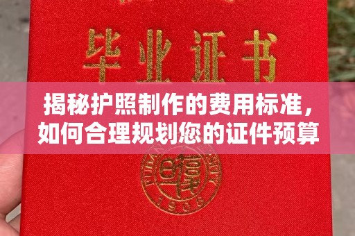 阜城揭秘护照制作的费用标准，如何合理规划您的证件预算