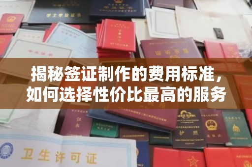 阜城揭秘签证制作的费用标准，如何选择性价比最高的服务？