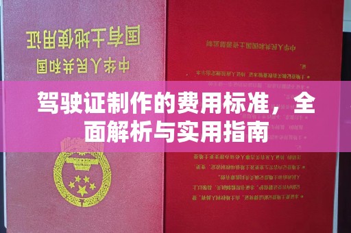 阜城驾驶证制作的费用标准，全面解析与实用指南