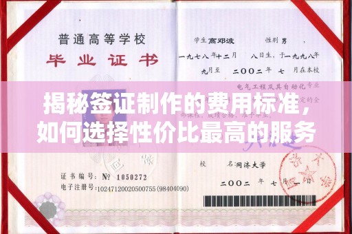 阜城揭秘签证制作的费用标准，如何选择性价比最高的服务？