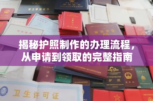阜城揭秘护照制作的办理流程，从申请到领取的完整指南