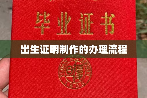 阜城出生证明制作的办理流程
