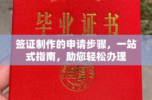 阜城签证制作的申请步骤，一站式指南，助您轻松办理