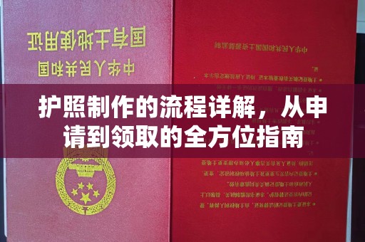 阜城护照制作的流程详解，从申请到领取的全方位指南