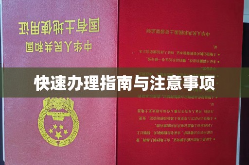 阜城快速办理指南与注意事项